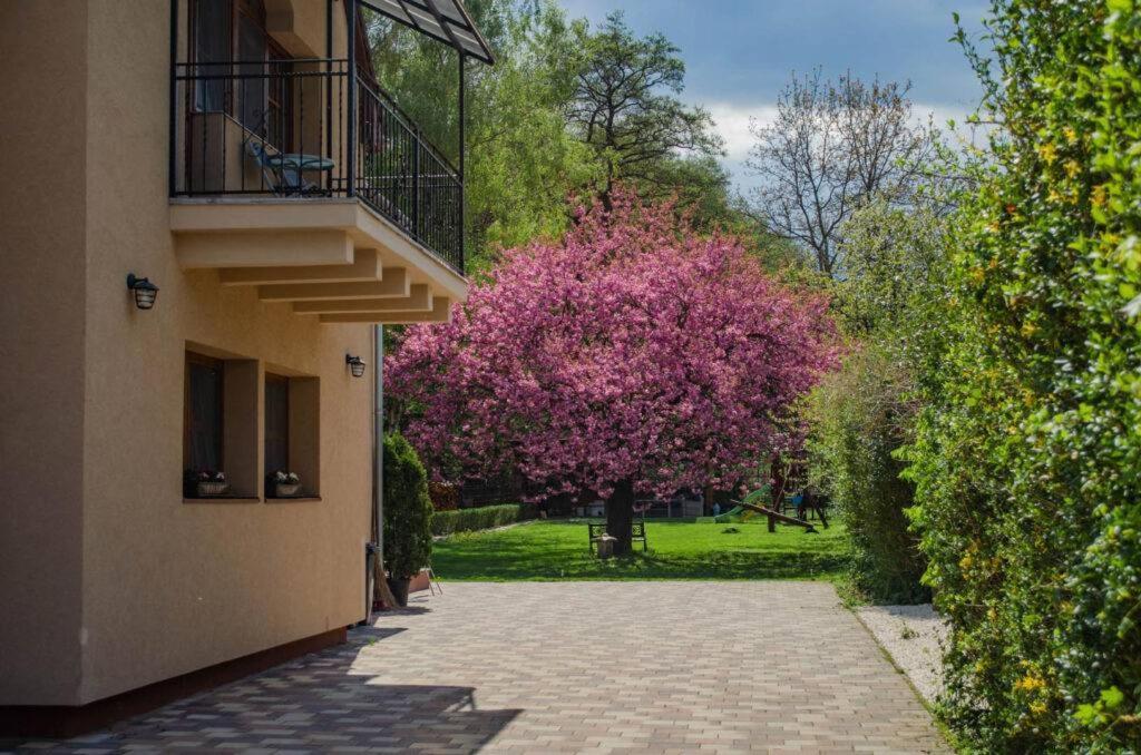 Shubu Zen Vendeghaz Hotel Szilvasvarad Ngoại thất bức ảnh